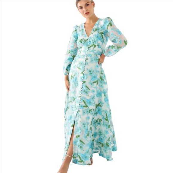 Abbey Glass Dresses & Skirts - New Abbey Glass Brooke Gown Tropical Organza Size XS